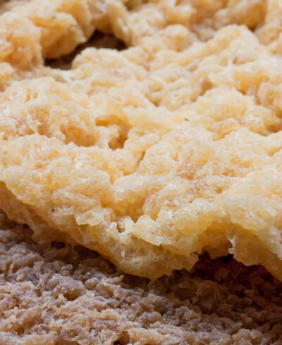 Blog Banners - 11